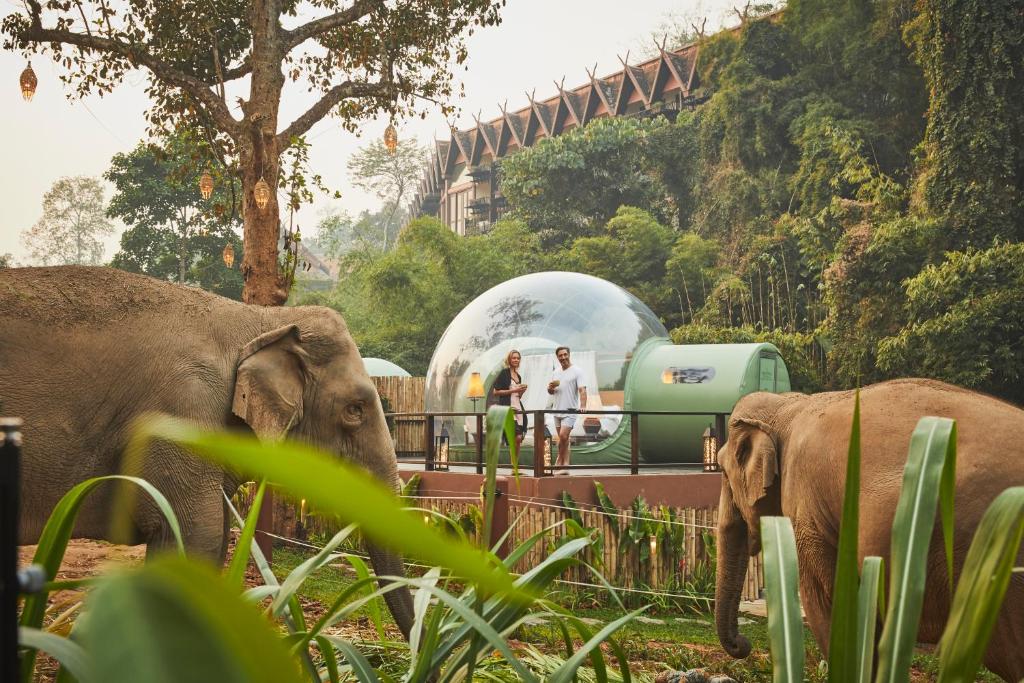 Lhotel Anantara Golden Triangle Elephant Camp Resort