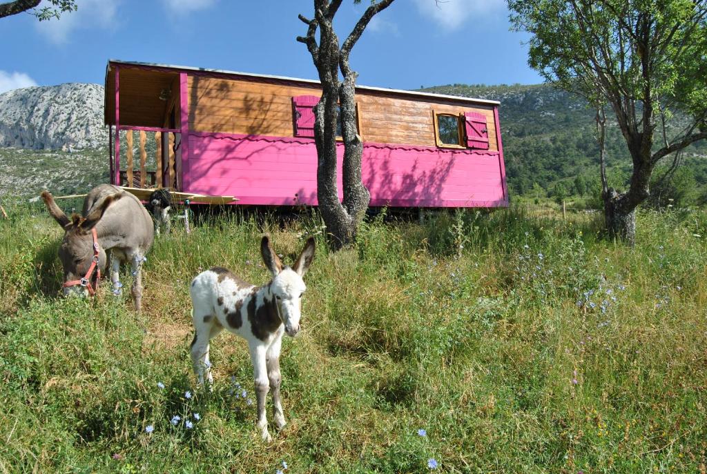 La Ferme Saint Pierre