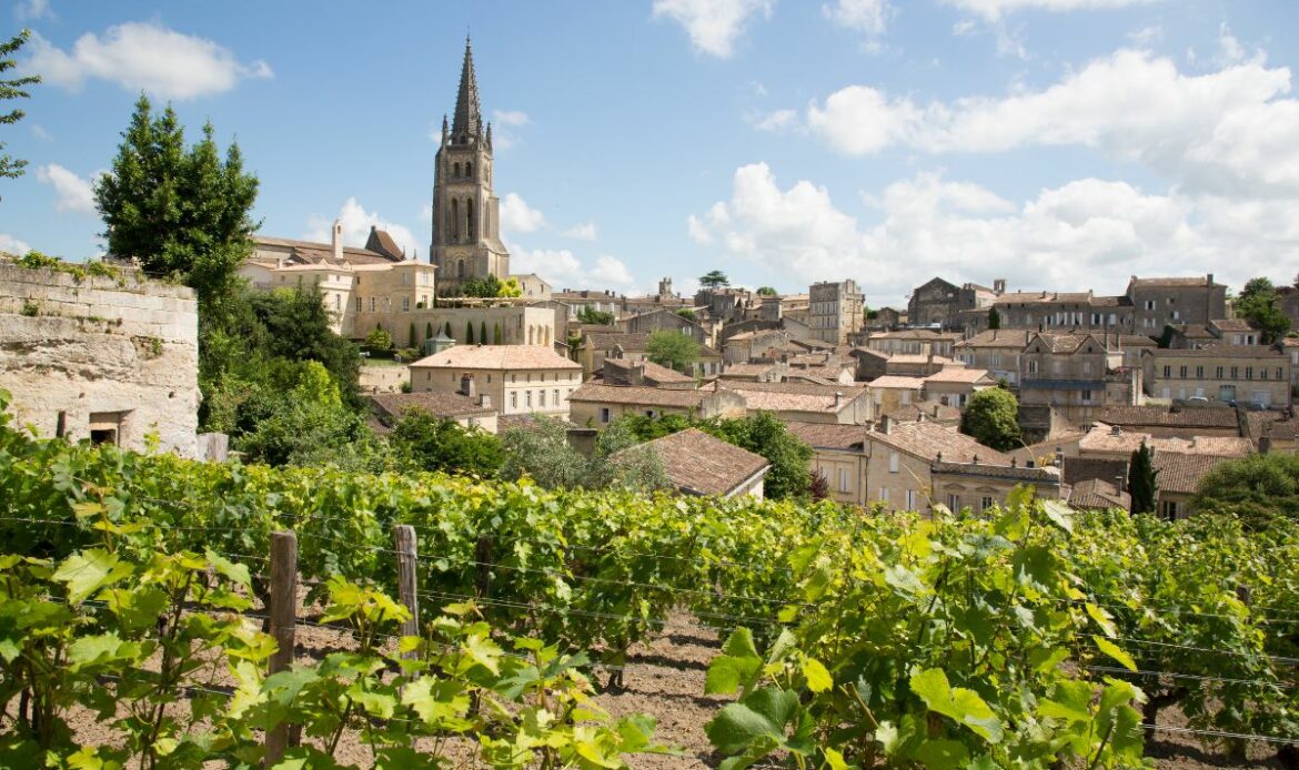 Ecolodge bordeaux