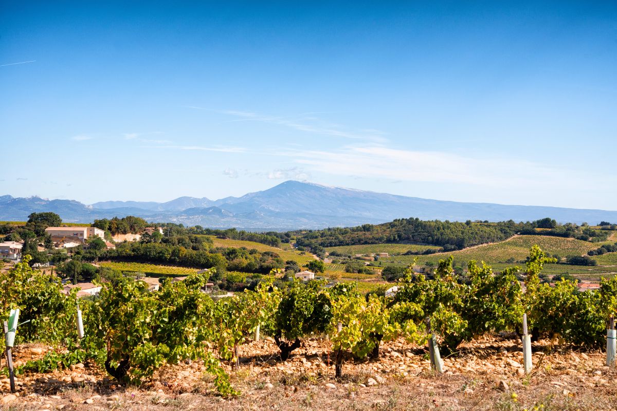 Châteauneuf du Pape Châteauneuf du Pape