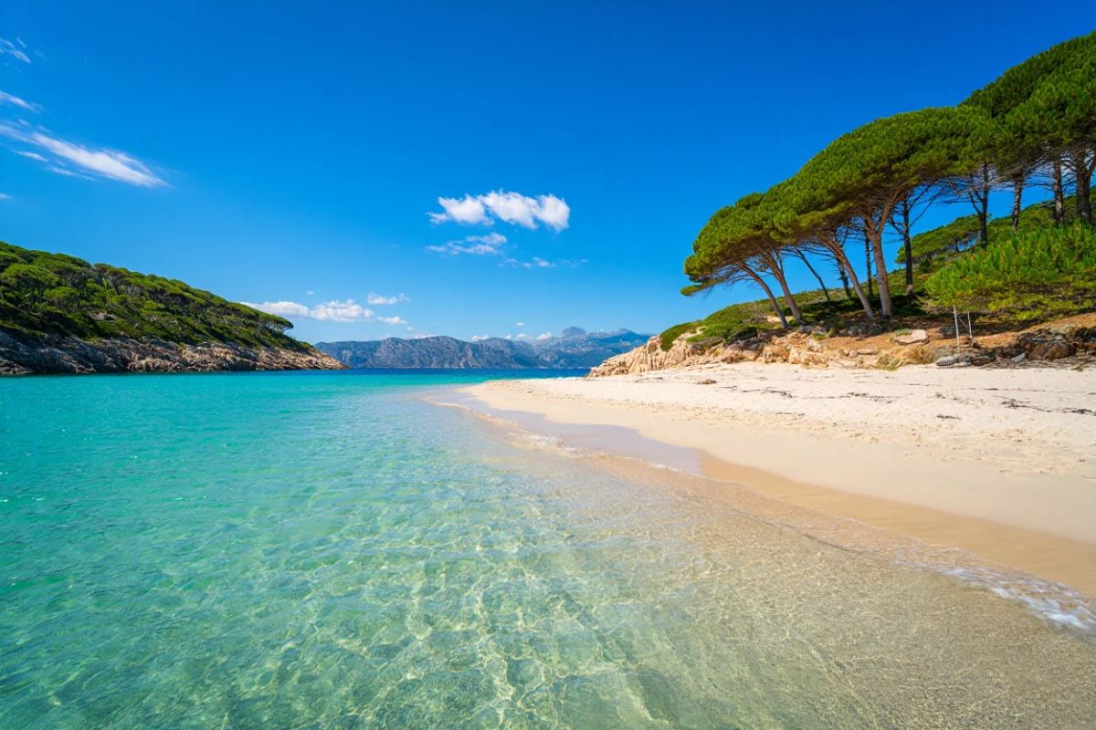 Plage de Corse Palombaggia