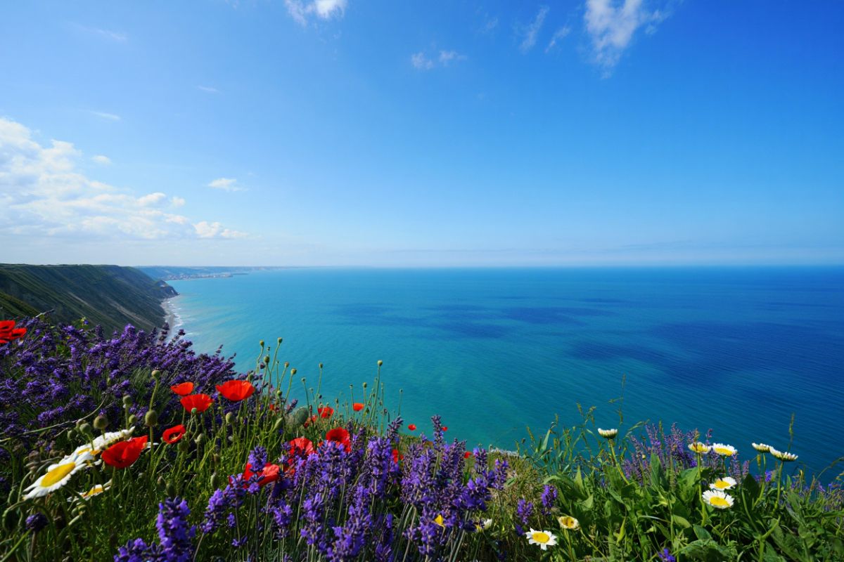 Plus beaux endroits cotentin