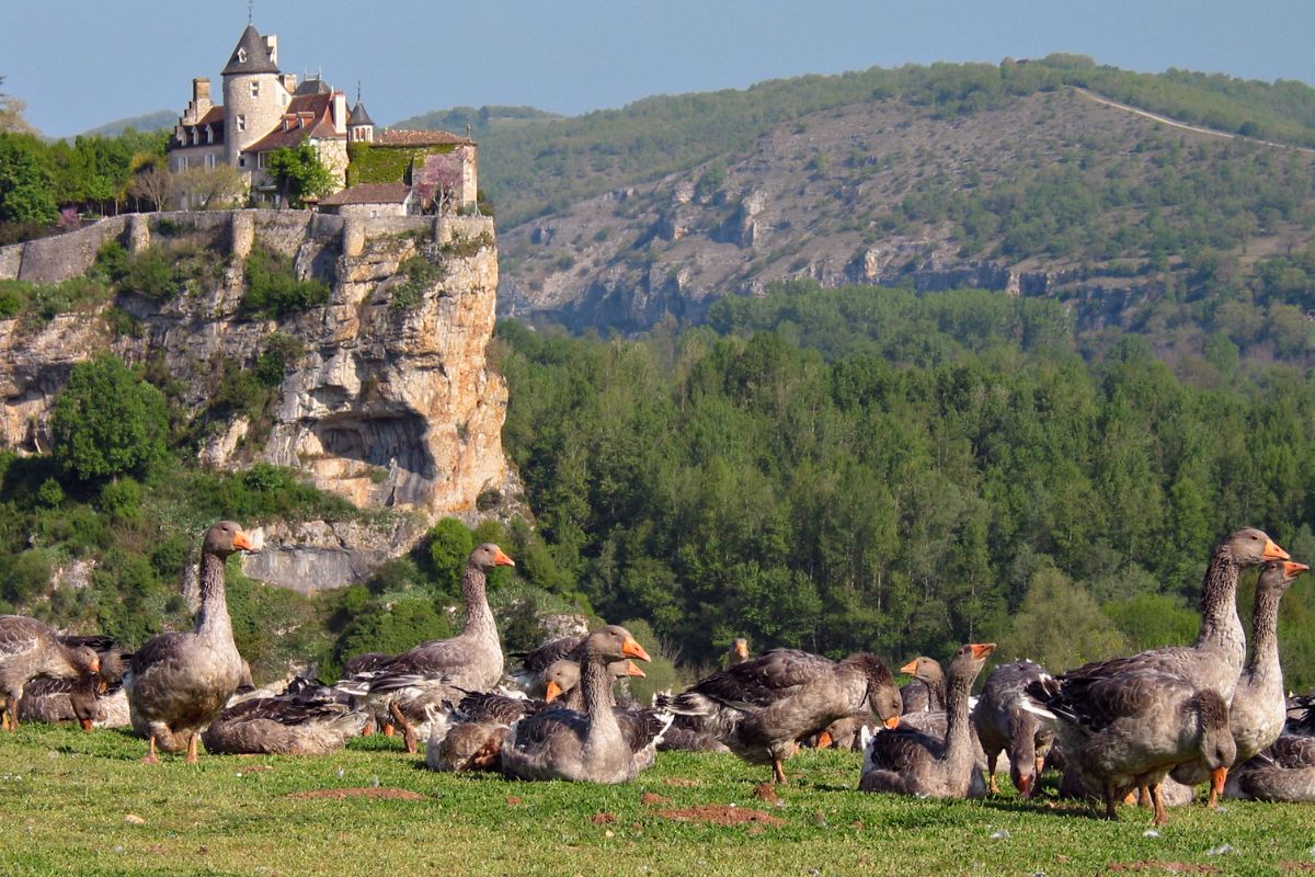 Chateau Dordogne Chateau Dordogne