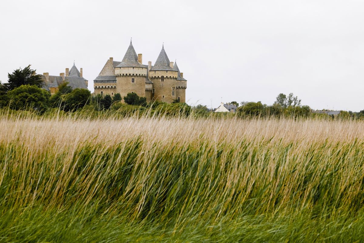 Château de Suscinio Château de Suscinio