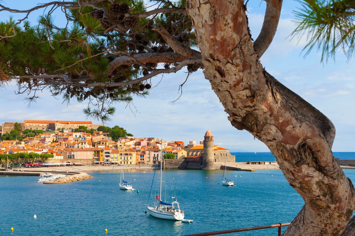 Collioure vue mer Collioure vue mer
