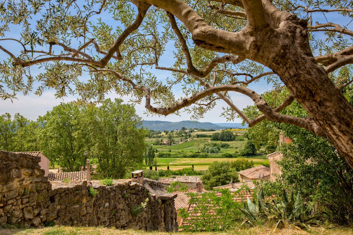 Cucuron