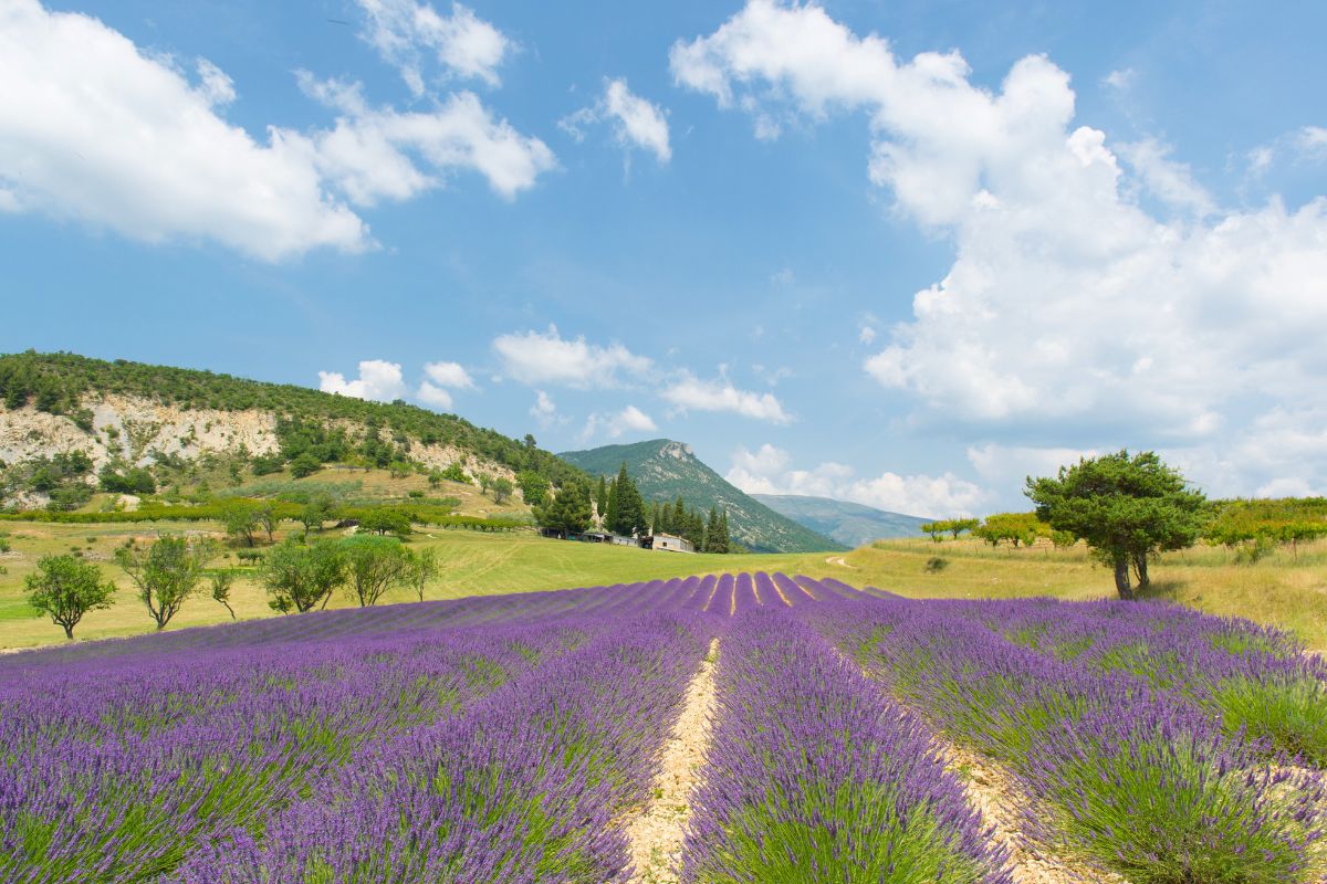 Drôme Drôme