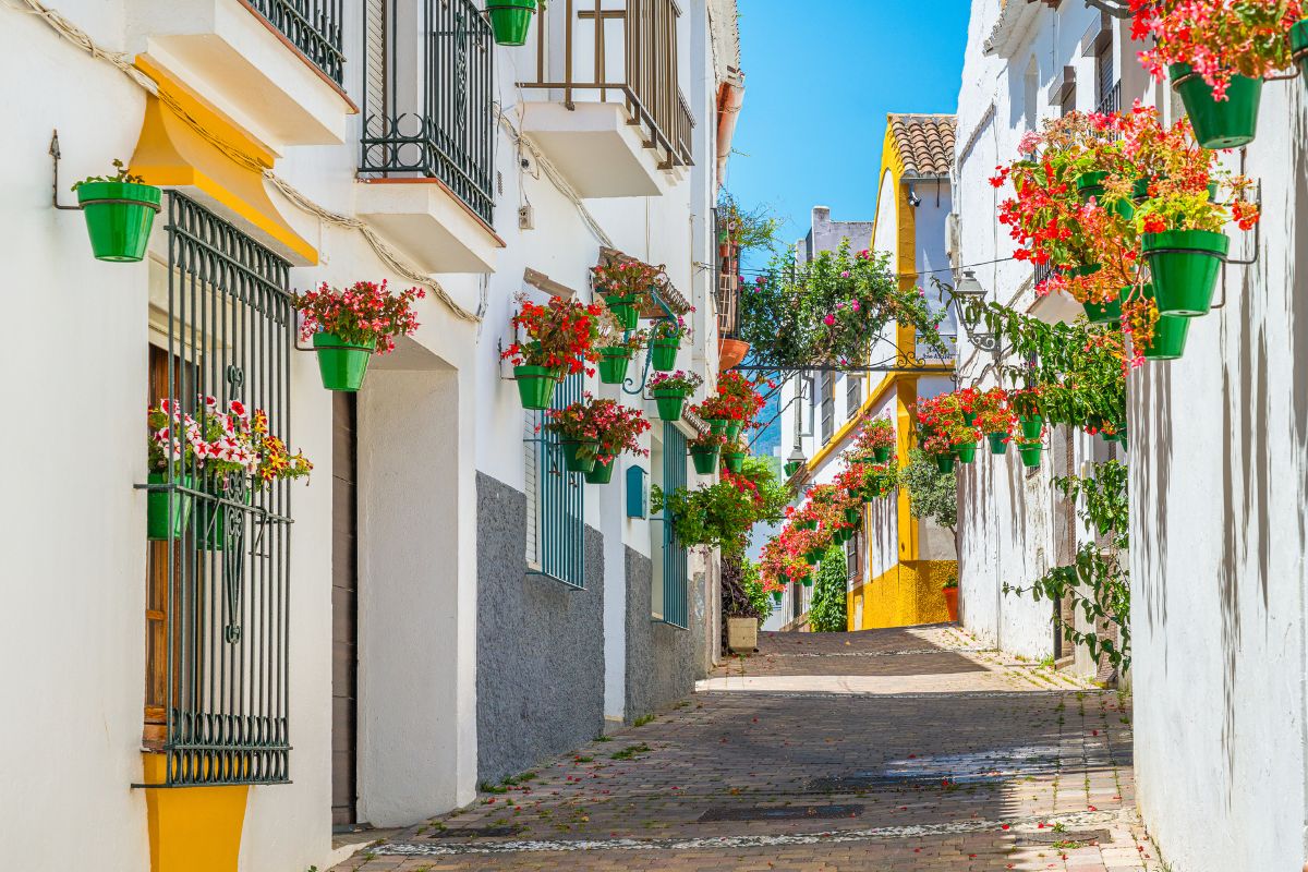 Malaga rues Malaga rues