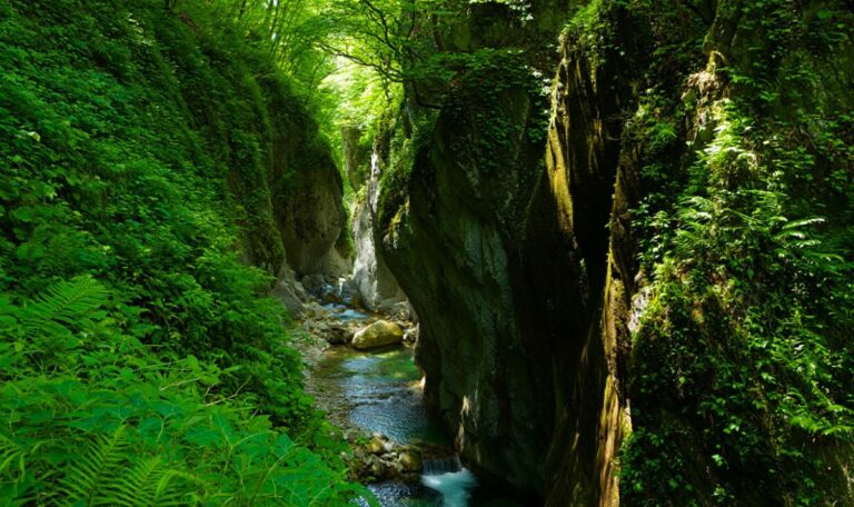 Gorges Anielles verdoyant