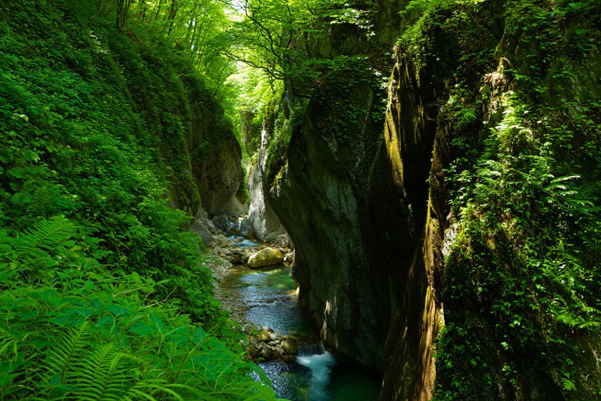 Gorges Anielles verdoyant