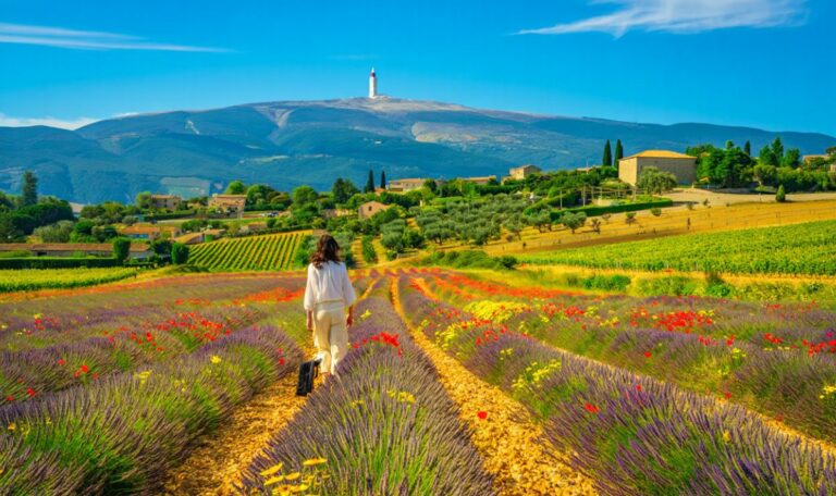 Mont ventoux plus belles balades