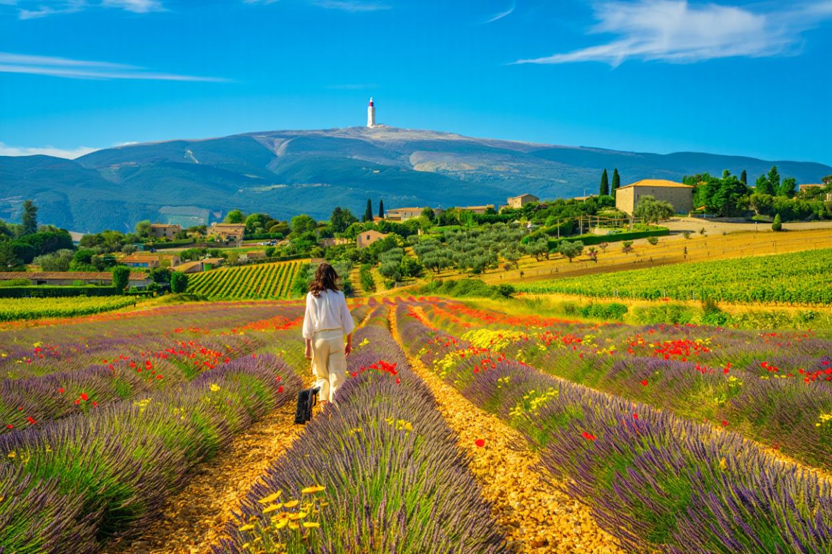 Mont ventoux plus belles balades