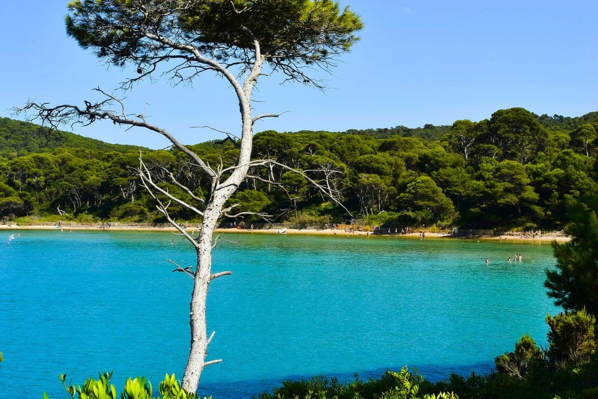 Porquerolles