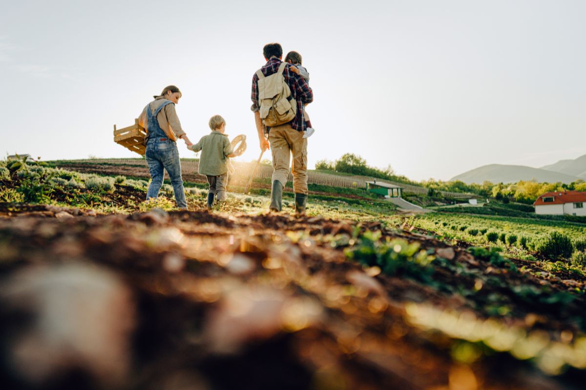 Vacances et séjour à la ferme avis
