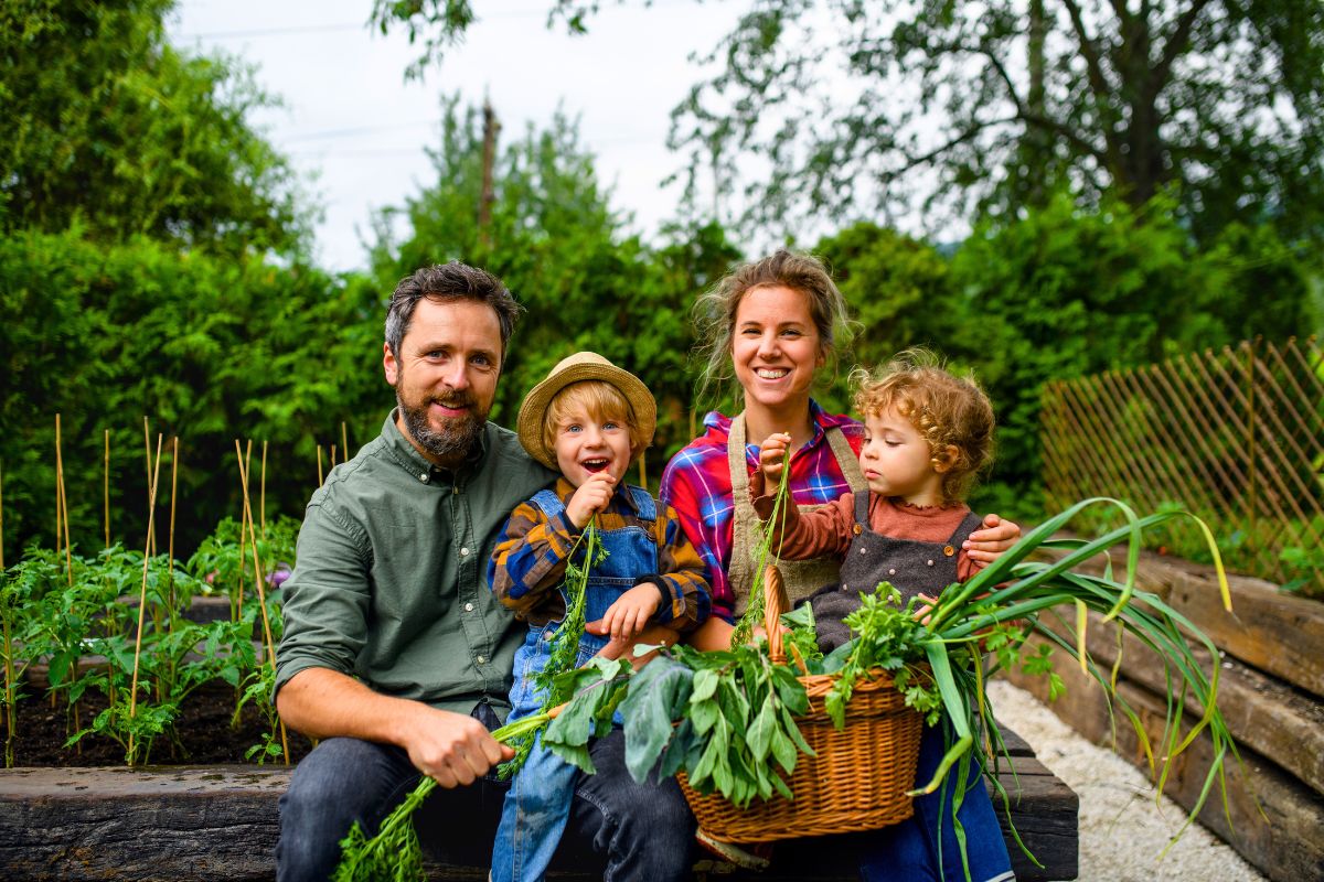 séjour à la ferme cueillir les fruits et legumes séjour à la ferme cueillir les fruits et legumes