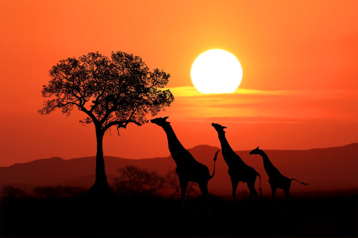 Afrique du Sud Afrique du Sud