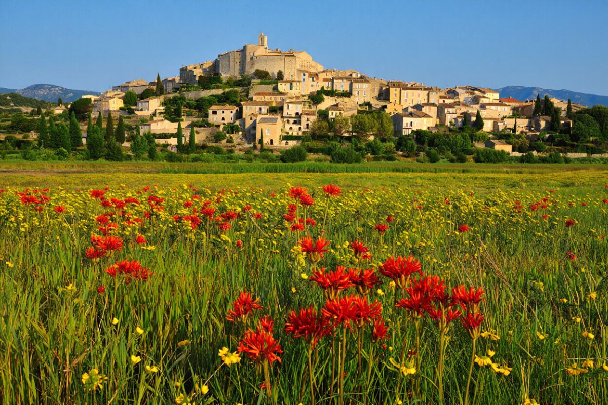 Collobrières