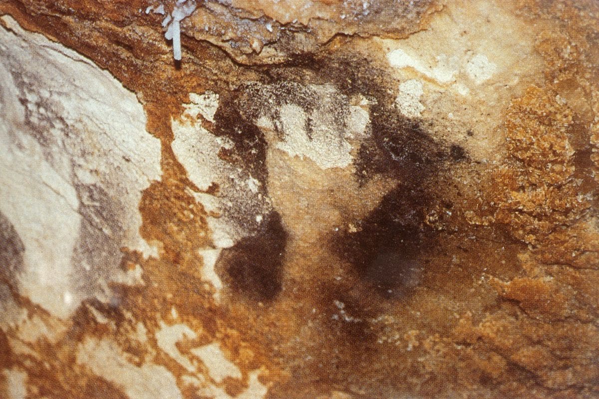 Grotte cosquer