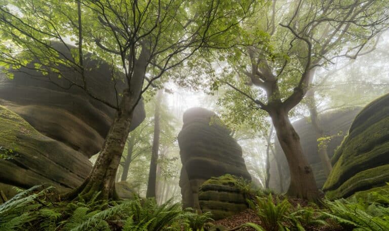 20 lieux insolites autour de Paris à découvrir ce week-end