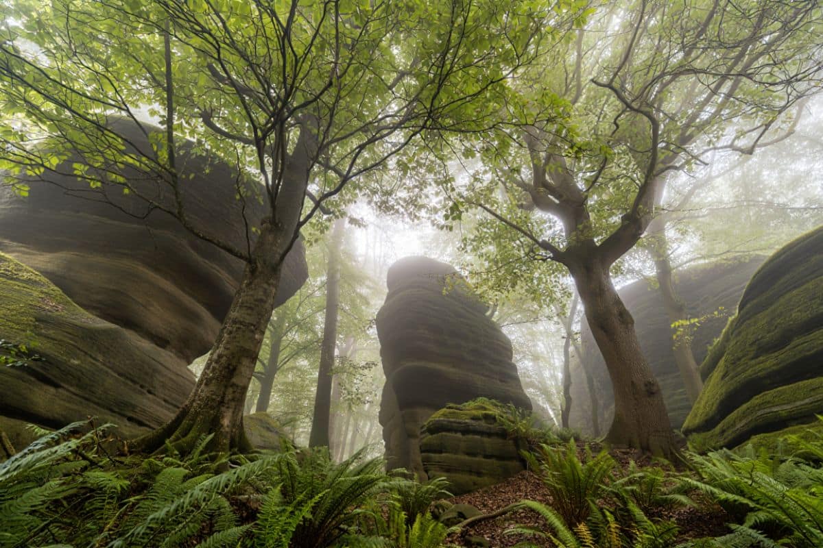 20 lieux insolites autour de Paris à découvrir ce week-end