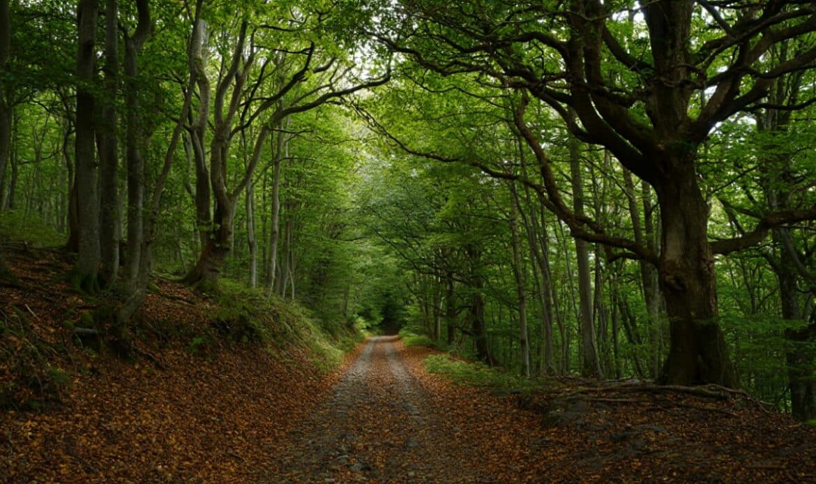 Randonnées près de Lille