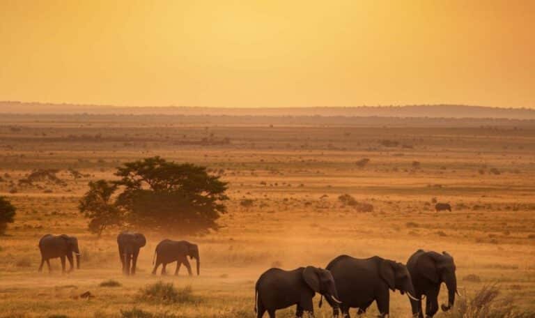 8 destinations où Voyager en Afrique pour la première fois