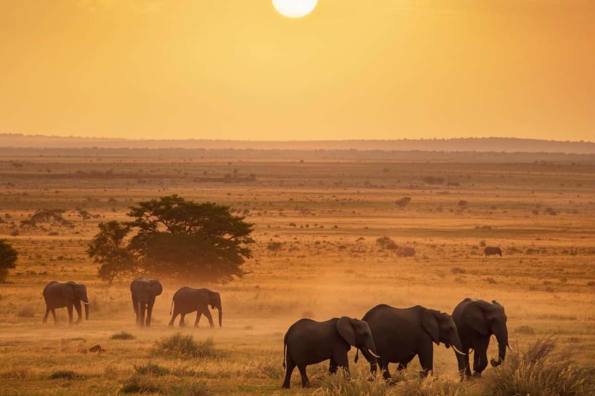 8 destinations où Voyager en Afrique pour la première fois